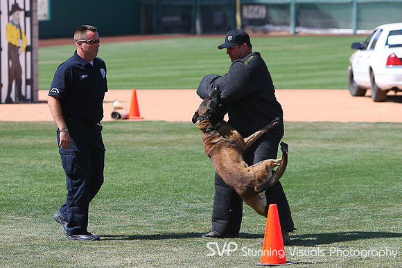 K9_4_18_2010 23