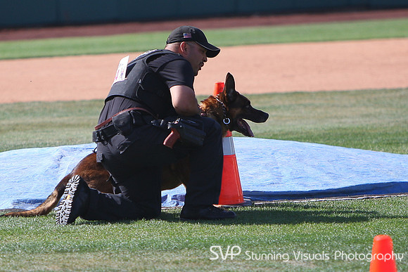 K9_4_18_2010 63