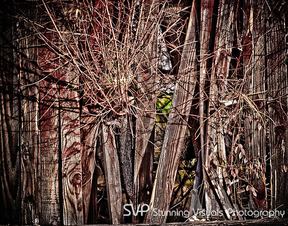 20100131-Art234-ASGN1--2596-Edit