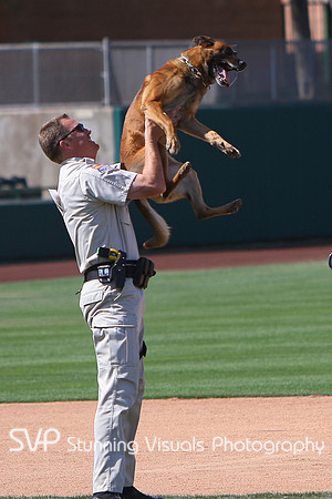 K9_4_18_2010 36