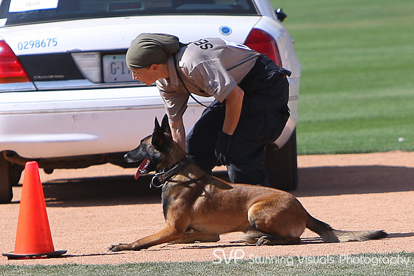 K9_4_18_2010 42