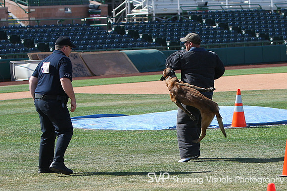 K9_4_18_2010 46